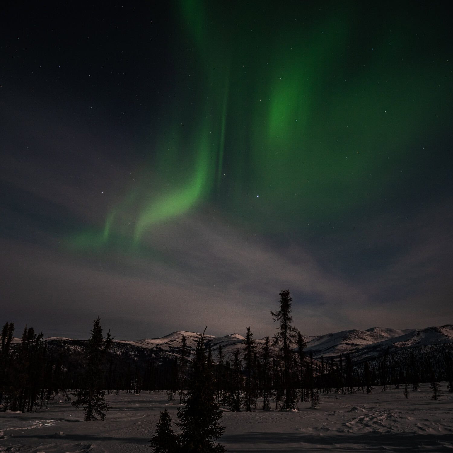 northern lights chena hot springs